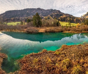 Słowenia, Pomost, Lasy, Chmury, Drewniany, Góry, Kranjska Gora, Rezerwat przyrody Zelenci, Jezioro Zelenci