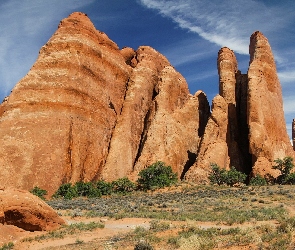 Suchy, Drzewa, Skały, Stany Zjednoczone, Park Narodowy Arches, Konar, Stan Utah, Krzewy