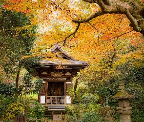 Park, Jesień, Świątynia, Pagoda, Drzewa