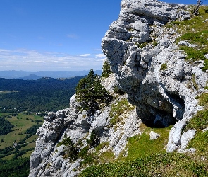 Skały, Dolina, Góry, Drzewa