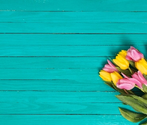 Różowe, Deski, Turkusowe, Tulipany, Żółte
