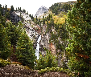 Góry, Skały, Austria, Wodospad, Dolina Otztal, Drzewa