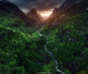Fiord Naroyfjorden, Lasy, Gmina Voss, Dolina Naroydalen, Zielone, Norwegia, Góry