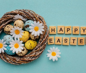 Życzenia, Gniazdo, Wielkanoc, Stokrotki, Happy Easter, Napis, Kwiaty, Pisanki