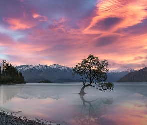 Jezioro Wanaka, Region Otago, Drzewo, Nowa Zelandia, Góry, Pochylone, Drzewa, Zachód słońca, Chmury