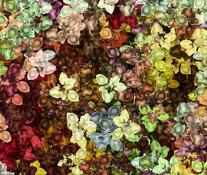 Kwiaty, Kolorowa, Tekstura