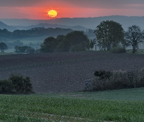 Pola, Wzgórza, Mgła, Drzewa, Wschód słońca