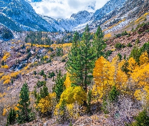 Lasy, Góry, Jesień, Stany Zjednoczone, Lundy Canyon, Wąwóz, Kalifornia, Drzewa