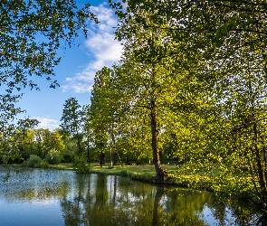 Zielone, Dzień, Słoneczny, Drzewa, Jezioro