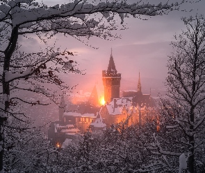 Drzewa, Zima, Saksonia, Światła, Zamek Wernigerode, Niemcy, Wernigerode