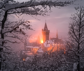 Saksonia, Niemcy, Światła, Zamek Wernigerode, Zima, Drzewa, Wernigerode