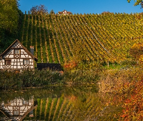 Zarośla, Staw, Winnice, Jesień, Wzgórza, Dom