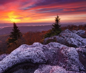 Rezerwat przyrody Bear Rocks, Wirginia Zachodnia, Stany Zjednoczone, Zachód słońca, Skały, Góry, Drzewa, Odbszar Dolly Sods Wilderness