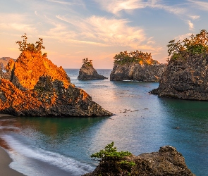 Skały, Morze, Stany Zjednoczone, Park stanowy, Samuel H Boardman State Scenic Corridor, Oregon, Drzewa