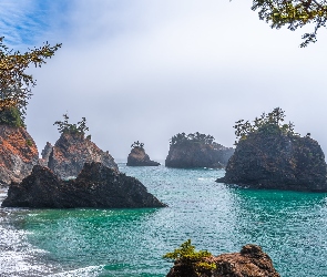 Morze, Skały, Stany Zjednoczone, Park stanowy, Samuel H Boardman State Scenic Corridor, Oregon, Drzewa