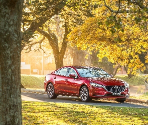 Mazda 6, Drzewa, Czerwona