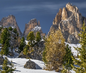 Dolomity, Góry, Włochy, Skały, Drzewa, Śnieg, Sassolungo Langkofel