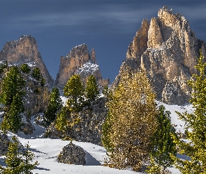 Śnieg, Drzewa, Dolomity, Włochy, Skały, Góry, Sassolungo Langkofel