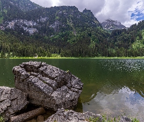 Szwajcaria, Lasy, Drzewa, Kanton Sankt Gallen, Kamienie, Voralpsee, Głazy, Góry, Jezioro, Alpy