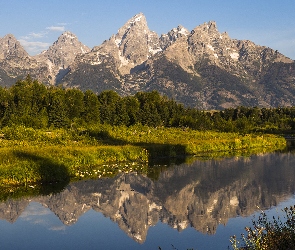 Rzeka, Drzewa, Park Narodowy Grand Teton, Teton Range, Stan Wyoming, Góry, Stany Zjednoczone, Odbicie