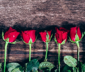 Deski, Róże, Czerwone, Kwiaty