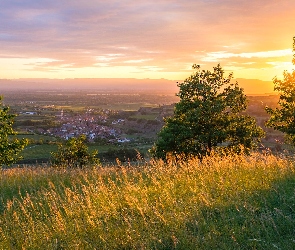 Wzgórza, Trawa, Zachód słońca, Drzewa, Badenia-Wirtembergia, Kaiserstuhl, Niemcy, Miasteczko
