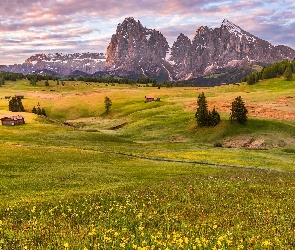 Dolomity, Domki, Góry Sassolungo, Dolina Val Gardena, Włochy, Drzewa, Łąki, Chmury, Płaskowyż Seiser Alm