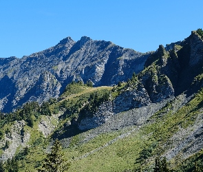 Zbocze, Drzewa, Góry