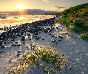 Wschód słońca, Morze, Skarpa, Kamienie, Trawa, Plaża