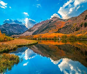 Stany Zjednoczone, North Lake, Pożółkłe, Góry, Jezioro, Trawy, Jesień, Drzewa, Kalifornia, Sierra Nevada