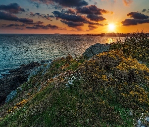 Wybrzeże, Roślinność, Morze, Skały, Pointe de la Garde Guerin, Wschód słońca, Francja, Bretania