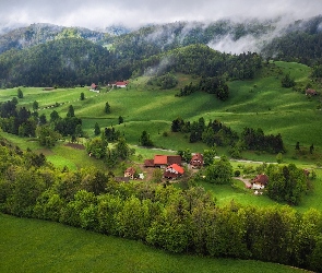 Wzgórza, Mgła, Góry, Drzewa, Domy, Lasy, Łąki, Dolina