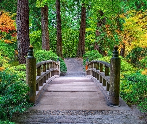 Portland Japanese Garden, Oregon, Stany Zjednoczone, Mostek, Drzewa, Ogród, Krzewy, Portland