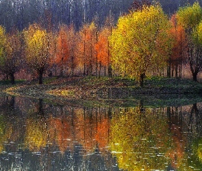 Kolorowe, Odbicie, Staw, Drzewa, Jesień