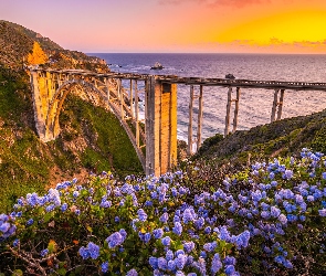 Morze, Wybrzeże, Kalifornia, Stany Zjednoczone, Łąka, Zachód słońca, Region Big Sur, Kwiaty, Most Bixby Creek Bridge