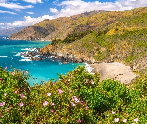 Morze, Kalifornia, Chmury, Stany Zjednoczone, Region Big Sur, Kwiaty, Góry, Wybrzeże, Plaża