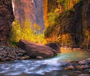 Kanion Zion Narrows, Stan Utah, Stany Zjednoczone, Rzeka Virgin River, Drzewa, Skały, Kamienie, Park Narodowy Zion