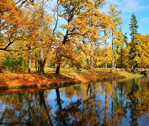 Staw, Odbicie, Jesień, Liście, Mostek, Dzień, Park, Słoneczny, Niebo, Drzewa, Pożółkłe