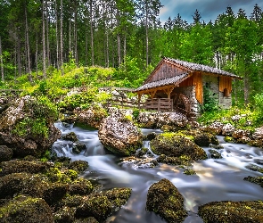 Las, Drzewa, Kamienie, Młyn, Strumień, Omszałe, Potok