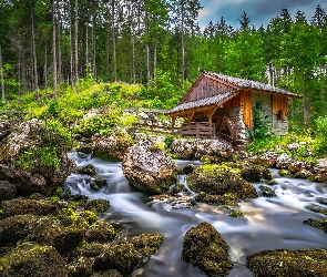 Kamienie, Omszałe, Młyn, Strumień, Drzewa, Las, Potok