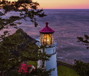 Latarnia morska, Heceta Head Lighthouse, Stany Zjednoczone, Drzewa, Stan Oregon, Morze