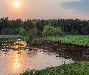 Zachód słońca, Drzewa, Rzeka, Las