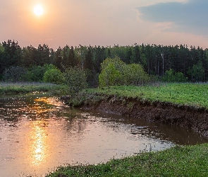 Rzeka, Zachód słońca, Drzewa, Las