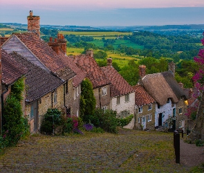 Roślinność, Domy, Hrabstwo Dorset, Anglia, Shaftesbury, Ulica