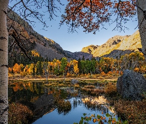 Drzewa, Jezioro, Góry, Jesień, Brzozy