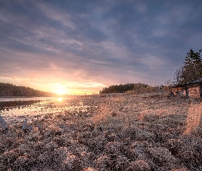 Karelia, Trawa, Drewniany, Rosja, Pole, Jezioro Ładoga, Dom