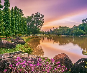 Kwiaty, Park, Kamienie, Drzewa, Staw