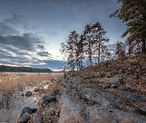 Drzewa, Jezioro Ładoga, Zachód słońca, Skały, Karelia, Trawy, Rosja, Zatoka Kiryavalahti