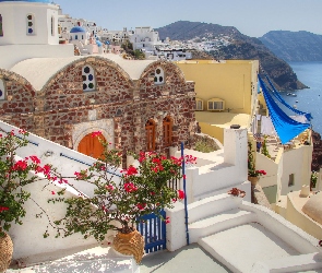 Grecja, Kwiaty, Morze Egejskie, Domy, Santorini