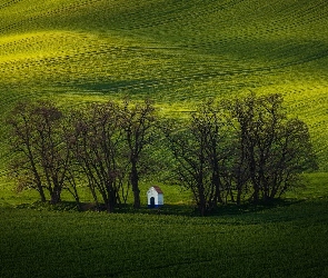Wzgórza, Kapliczka, Zielone, Drzewa, Kraj południowomorawski, Pola uprawne, Czechy, Sobulky